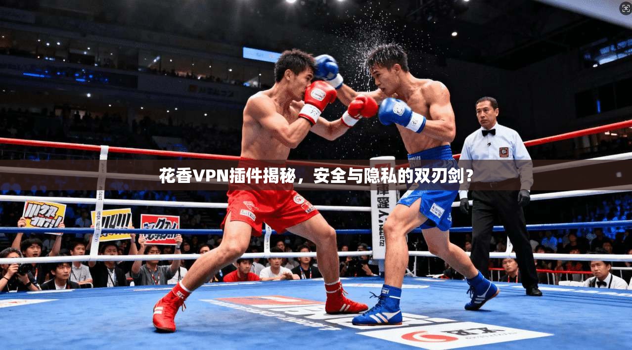花香VPN插件揭秘，安全与隐私的双刃剑？