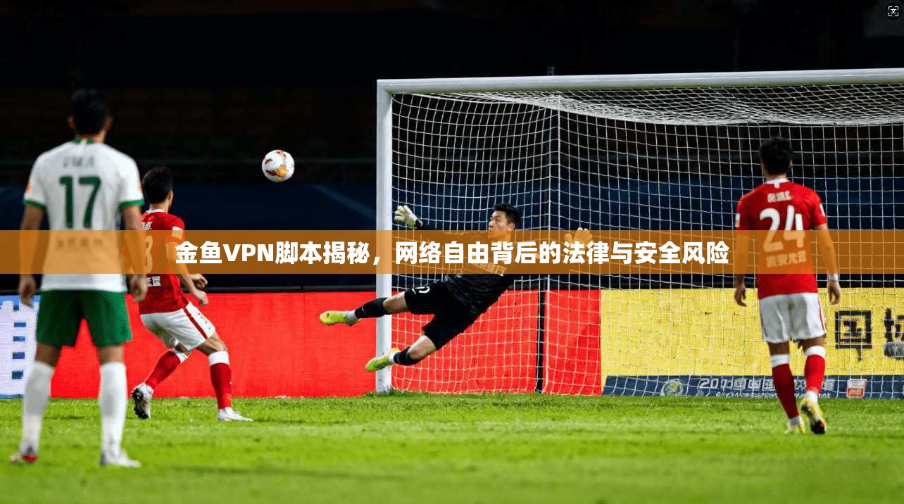 金鱼VPN脚本揭秘,网络自由背后的法律与安全风险 金鱼VPN脚本揭秘,网络自由背后的法律与安全风险