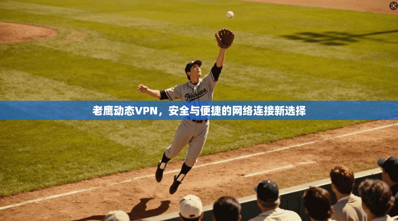 老鹰动态VPN,安全与便捷的网络连接新选择 老鹰动态VPN,安全与便捷的网络连接新选择