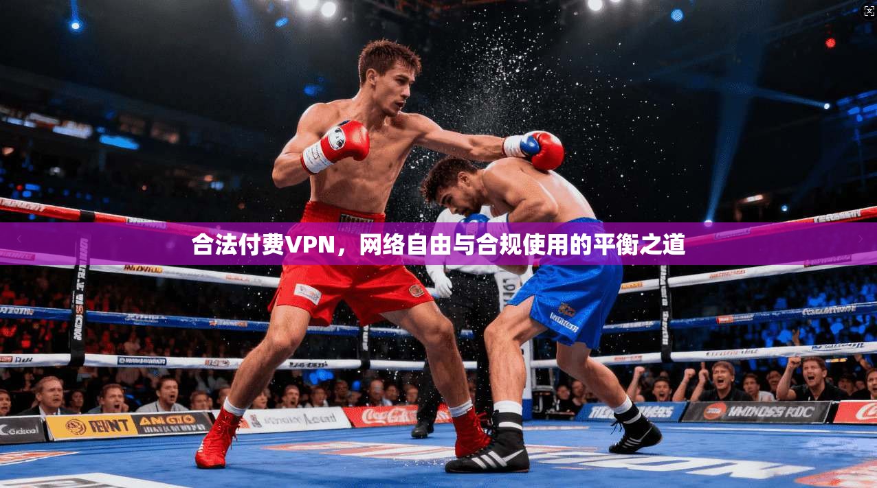 合法付费VPN,网络自由与合规使用的平衡之道 合法付费VPN,网络自由与合规使用的平衡之道