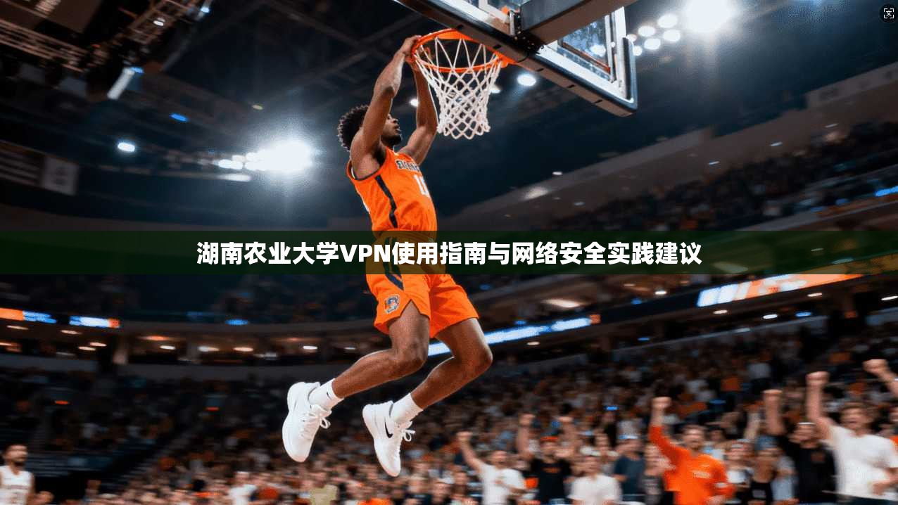 湖南农业大学VPN使用指南与网络安全实践建议