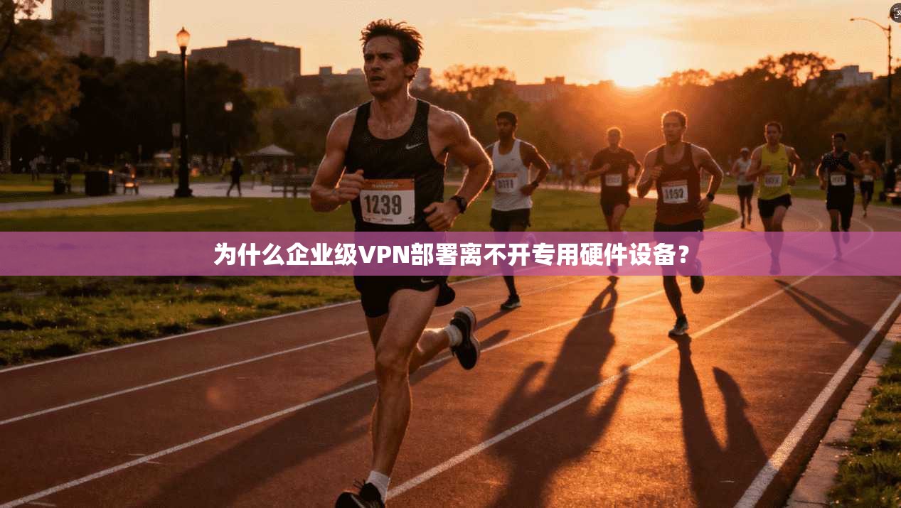 为什么企业级VPN部署离不开专用硬件设备？