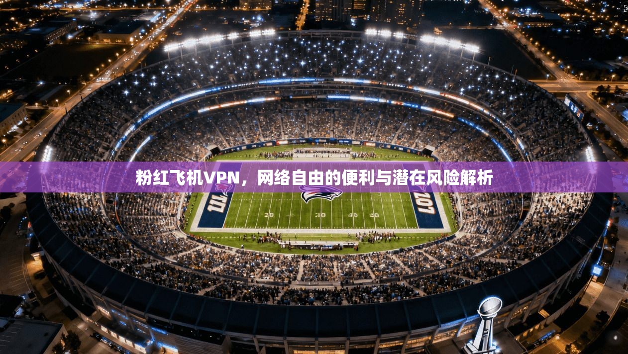 粉红飞机VPN，网络自由的便利与潜在风险解析