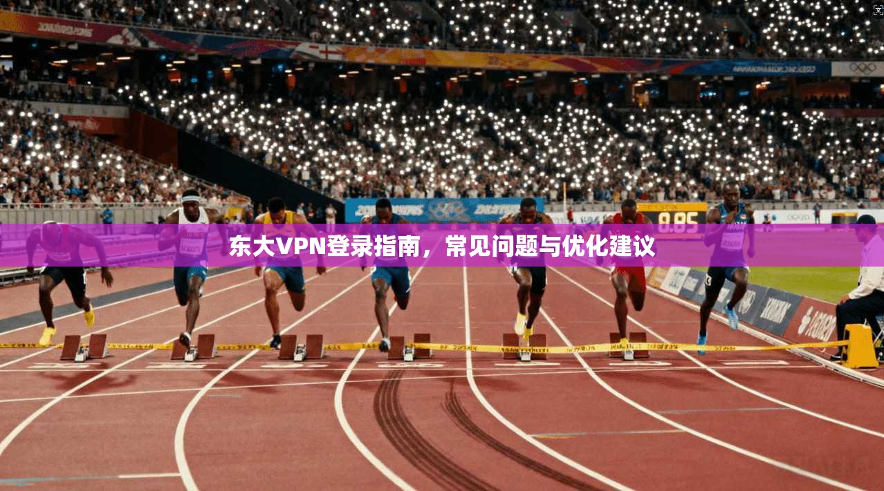 东大VPN登录指南，常见问题与优化建议