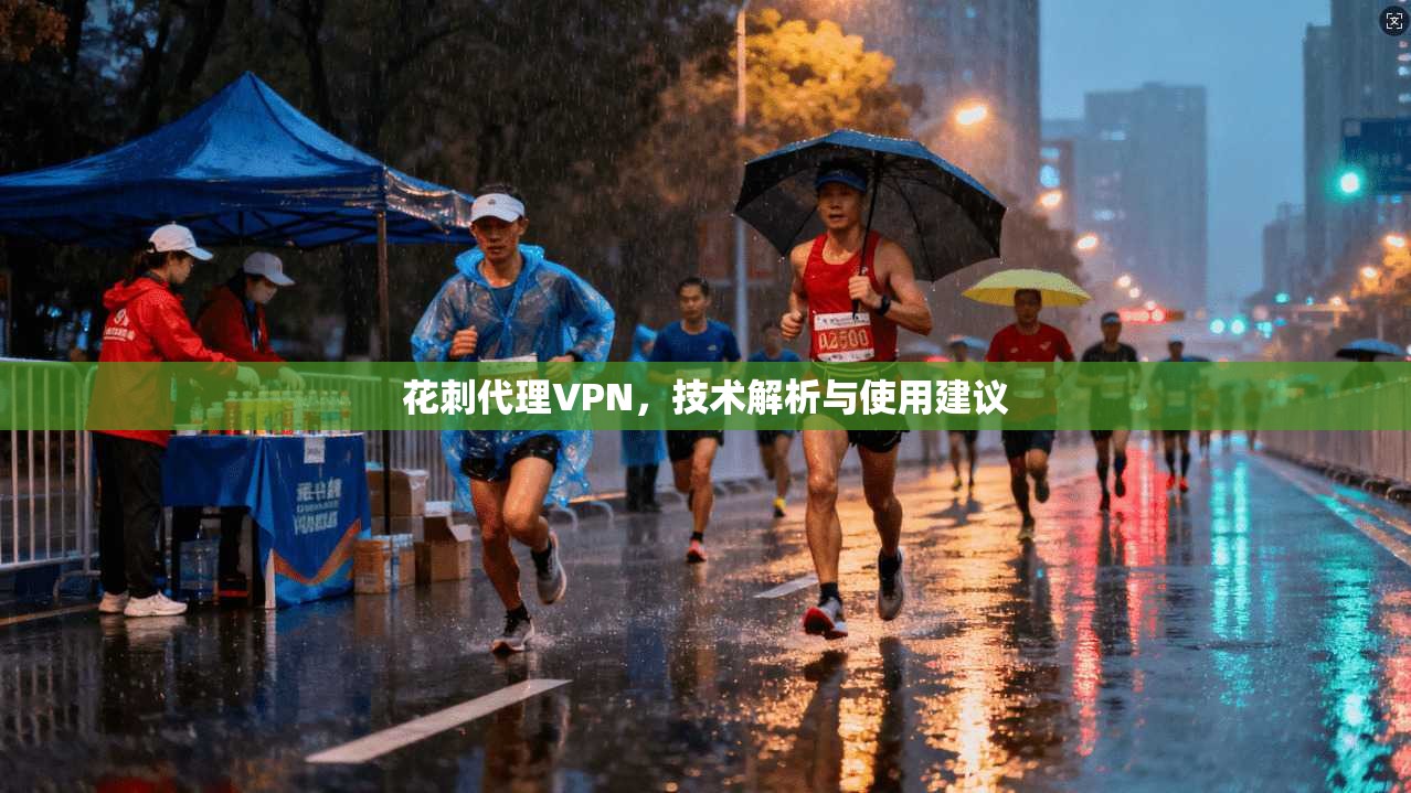 花刺代理VPN，技术解析与使用建议