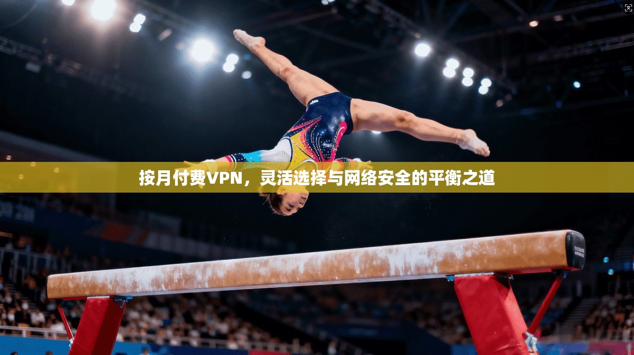 按月付费VPN,灵活选择与网络安全的平衡之道 按月付费VPN,灵活选择与网络安全的平衡之道