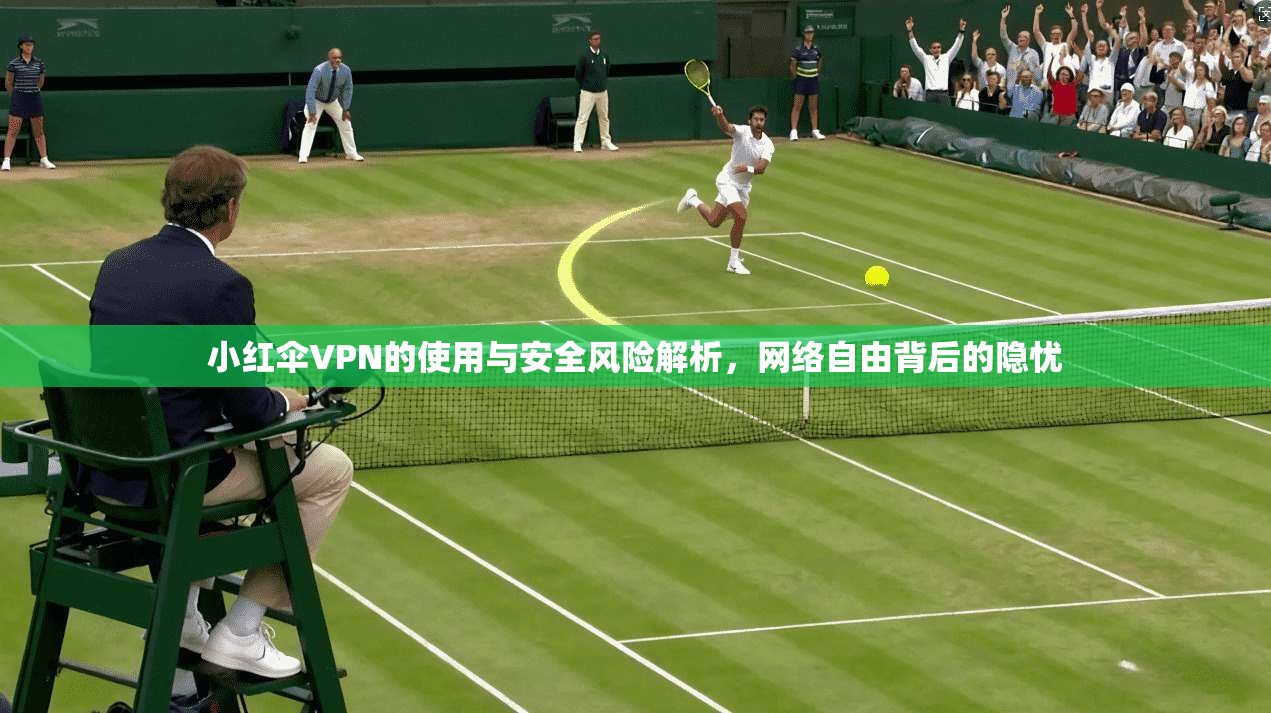小红伞VPN的使用与安全风险解析,网络自由背后的隐忧 小红伞VPN的使用与安全风险解析,网络自由背后的隐忧