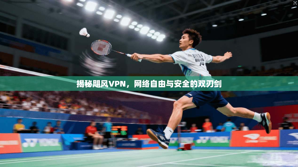 揭秘飓风VPN，网络自由与安全的双刃剑
