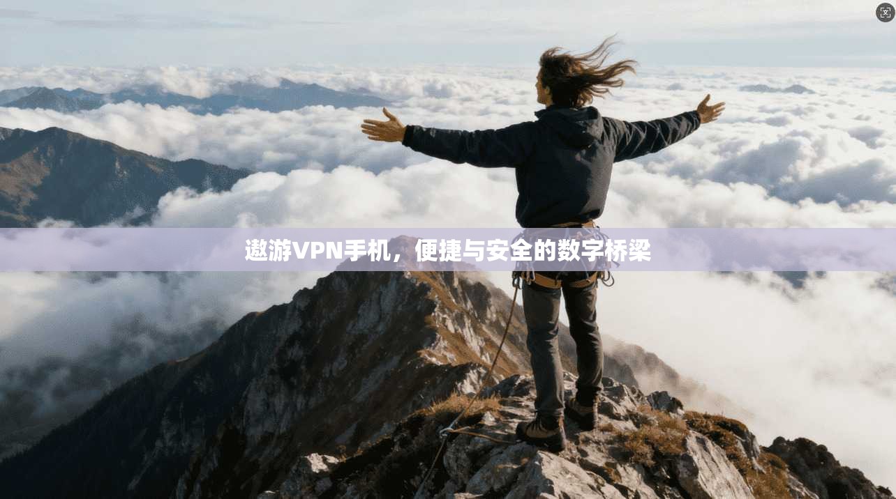 遨游VPN手机，便捷与安全的数字桥梁