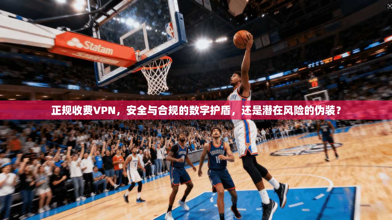 正规收费VPN，安全与合规的数字护盾，还是潜在风险的伪装？