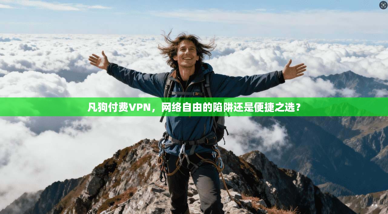 凡狗付费VPN，网络自由的陷阱还是便捷之选？