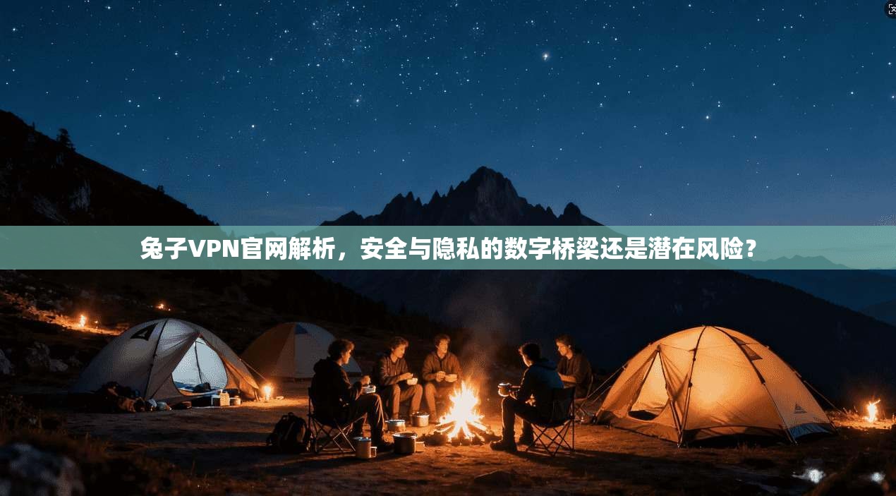 兔子VPN官网解析，安全与隐私的数字桥梁还是潜在风险？