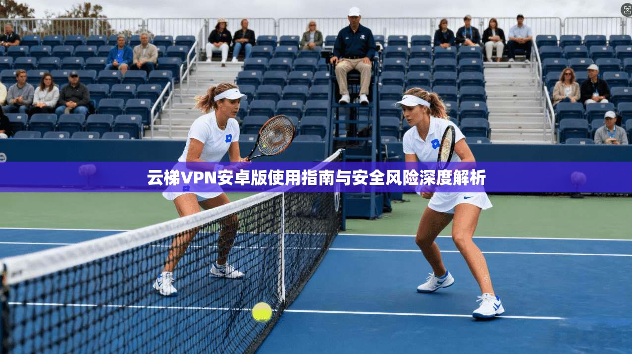 云梯VPN安卓版使用指南与安全风险深度解析