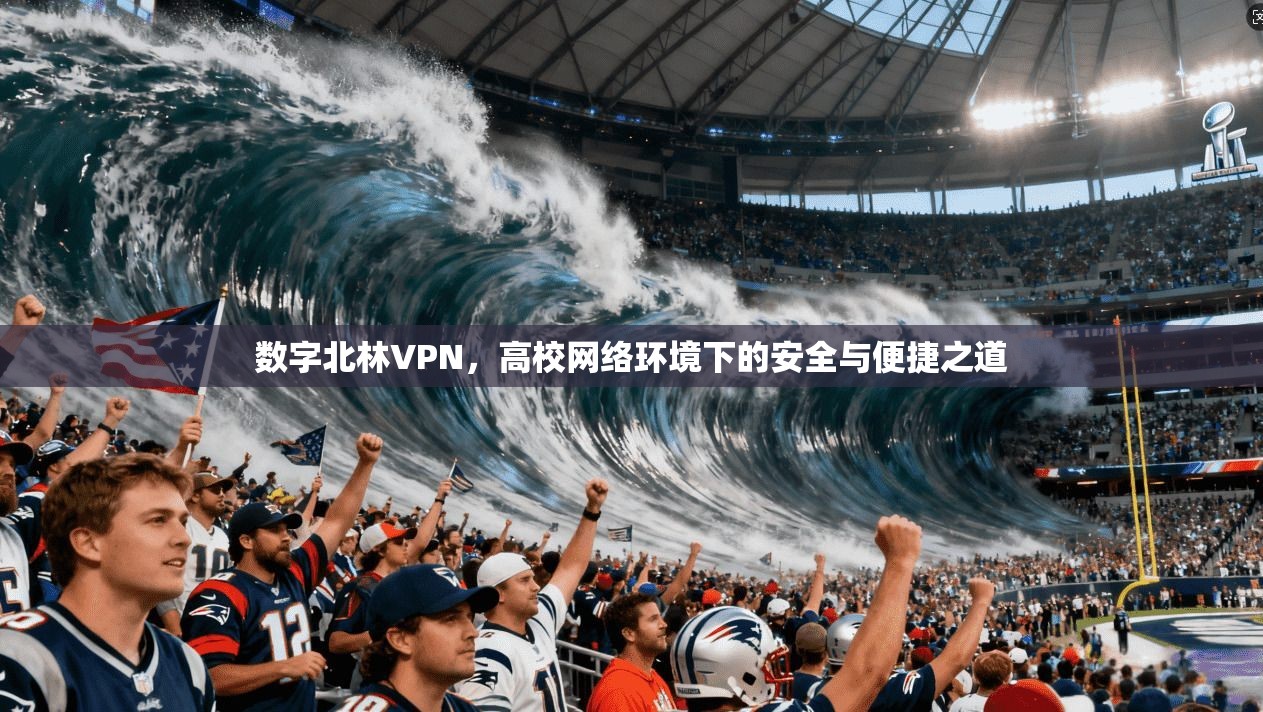 数字北林VPN，高校网络环境下的安全与便捷之道