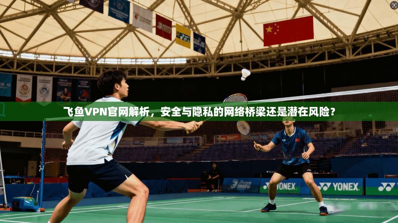 飞鱼VPN官网解析，安全与隐私的网络桥梁还是潜在风险？