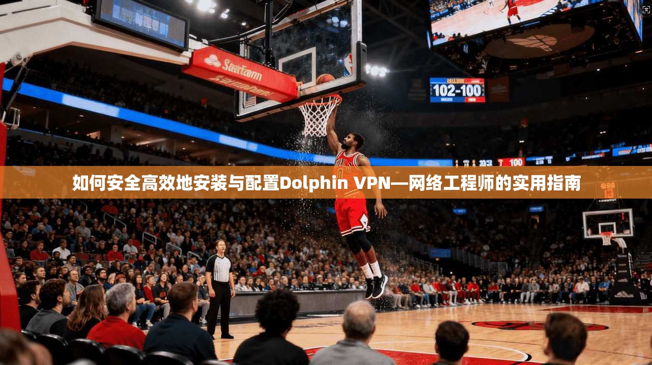 如何安全高效地安装与配置Dolphin VPN—网络工程师的实用指南