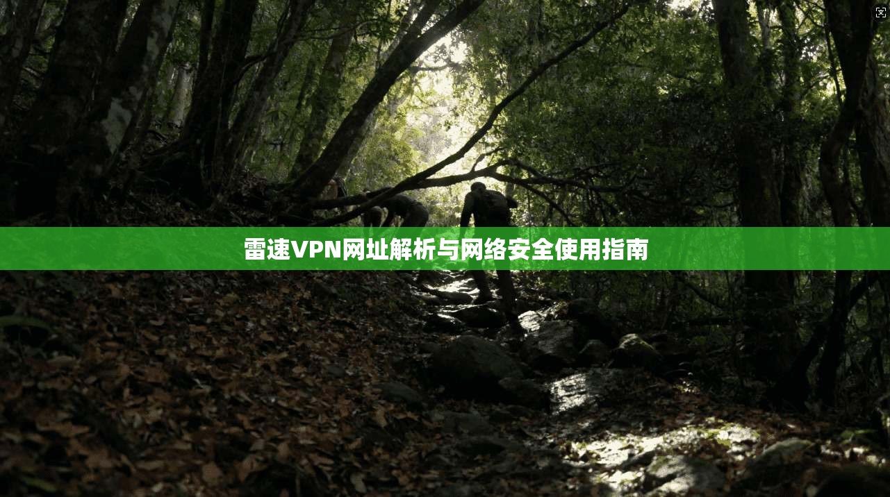 雷速VPN网址解析与网络安全使用指南 雷速VPN网址解析与网络安全使用指南