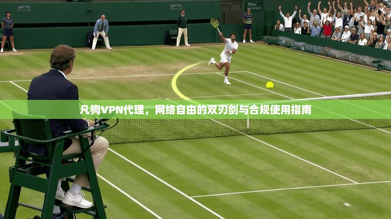凡狗VPN代理，网络自由的双刃剑与合规使用指南
