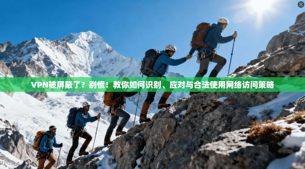 VPN被屏蔽了？别慌！教你如何识别、应对与合法使用网络访问策略