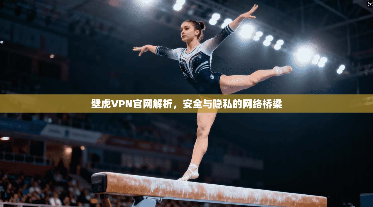 壁虎VPN官网解析,安全与隐私的网络桥梁 壁虎VPN官网解析,安全与隐私的网络桥梁