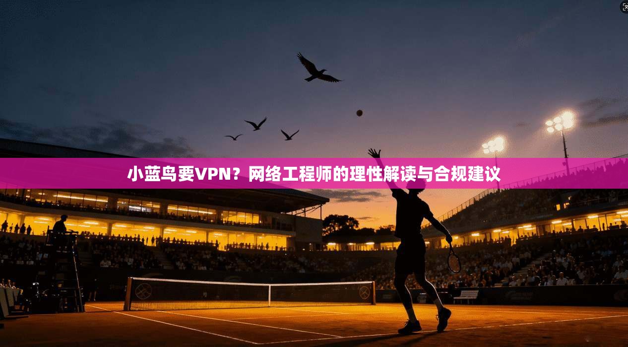小蓝鸟要VPN？网络工程师的理性解读与合规建议
