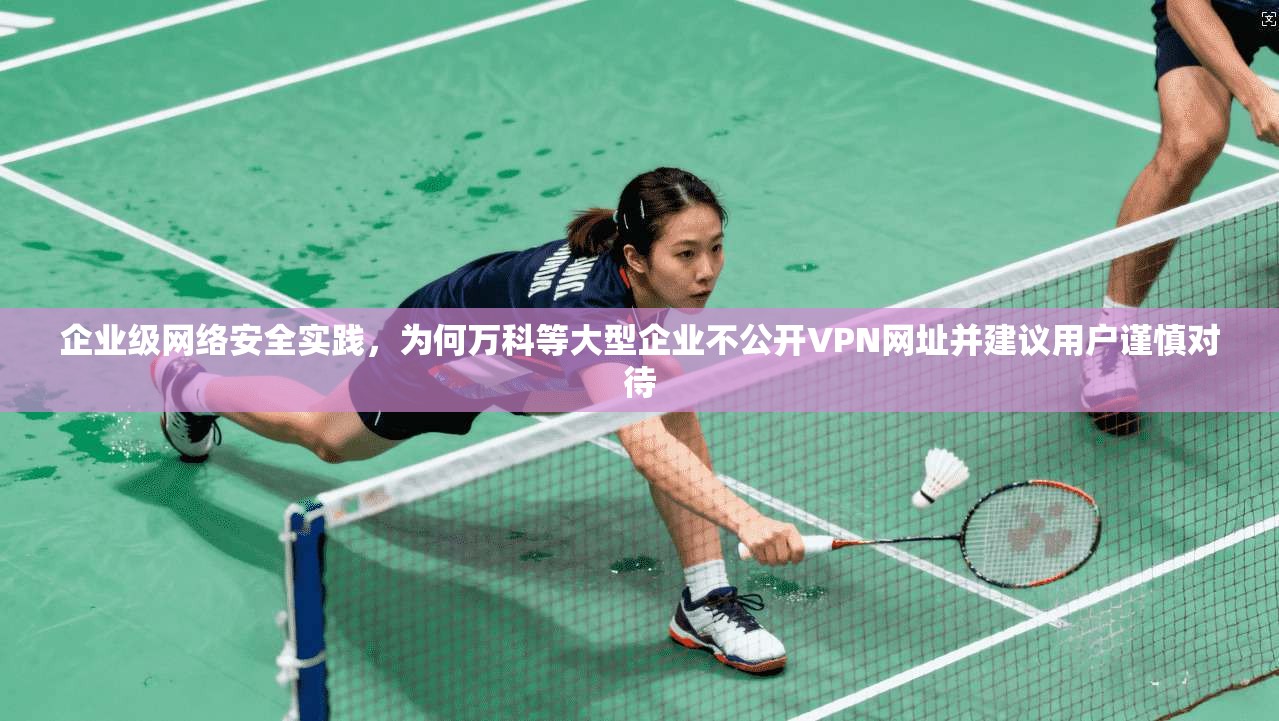 企业级网络安全实践，为何万科等大型企业不公开VPN网址并建议用户谨慎对待