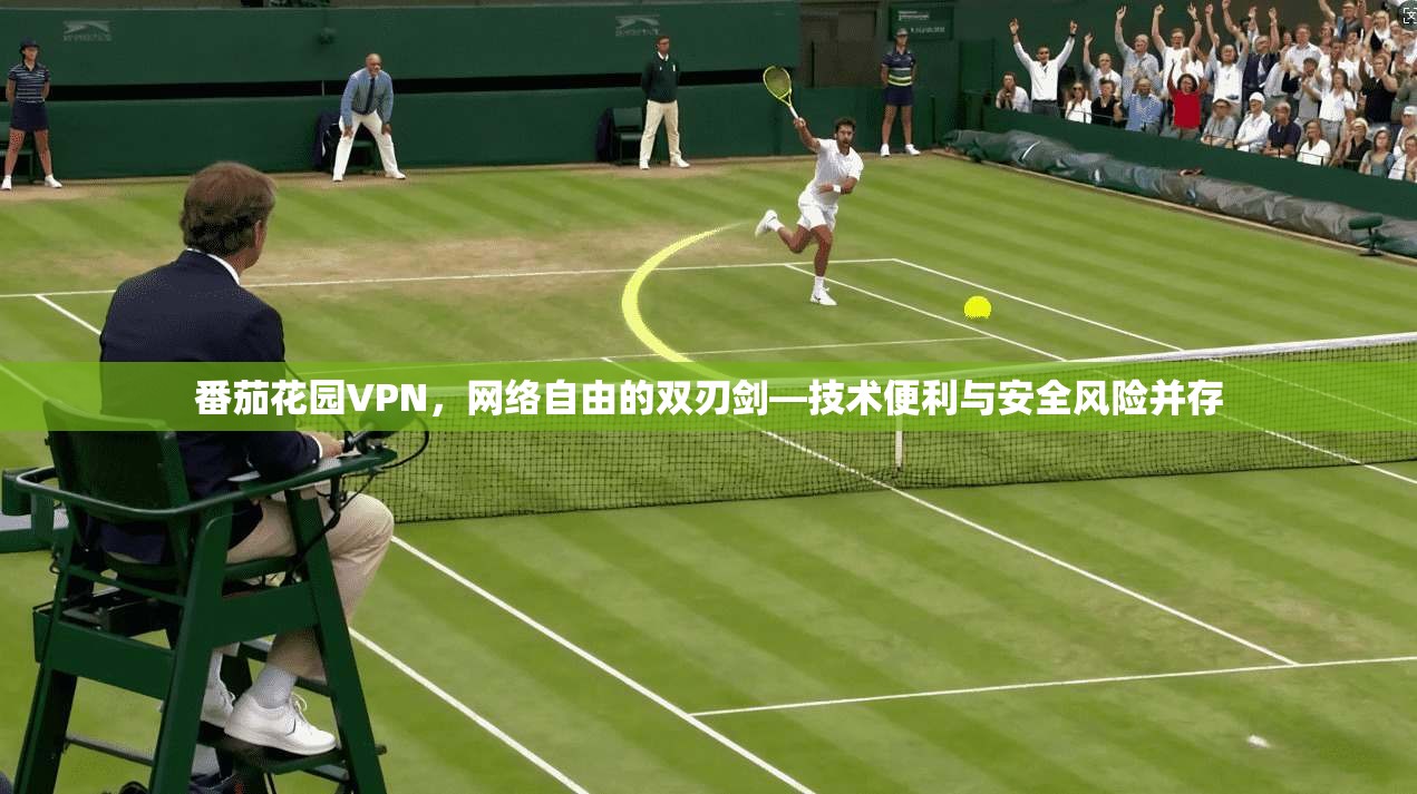 番茄花园VPN,网络自由的双刃剑—技术便利与安全风险并存 番茄花园VPN,网络自由的双刃剑—技术便利与安全风险并存