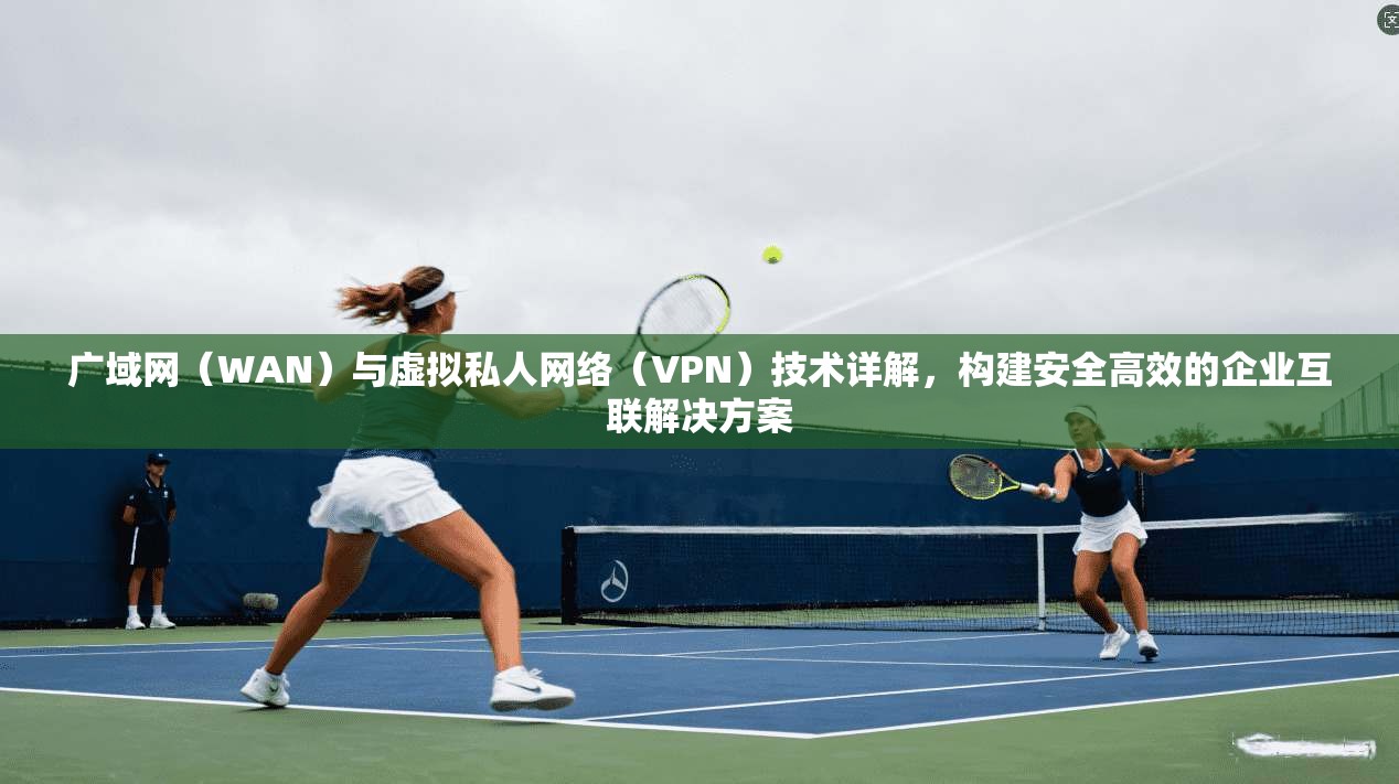 广域网（WAN）与虚拟私人网络（VPN）技术详解，构建安全高效的企业互联解决方案