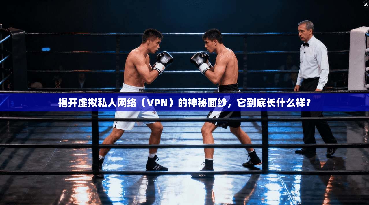 揭开虚拟私人网络（VPN）的神秘面纱，它到底长什么样？