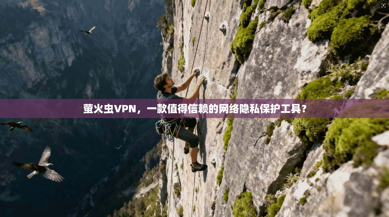 萤火虫VPN，一款值得信赖的网络隐私保护工具？