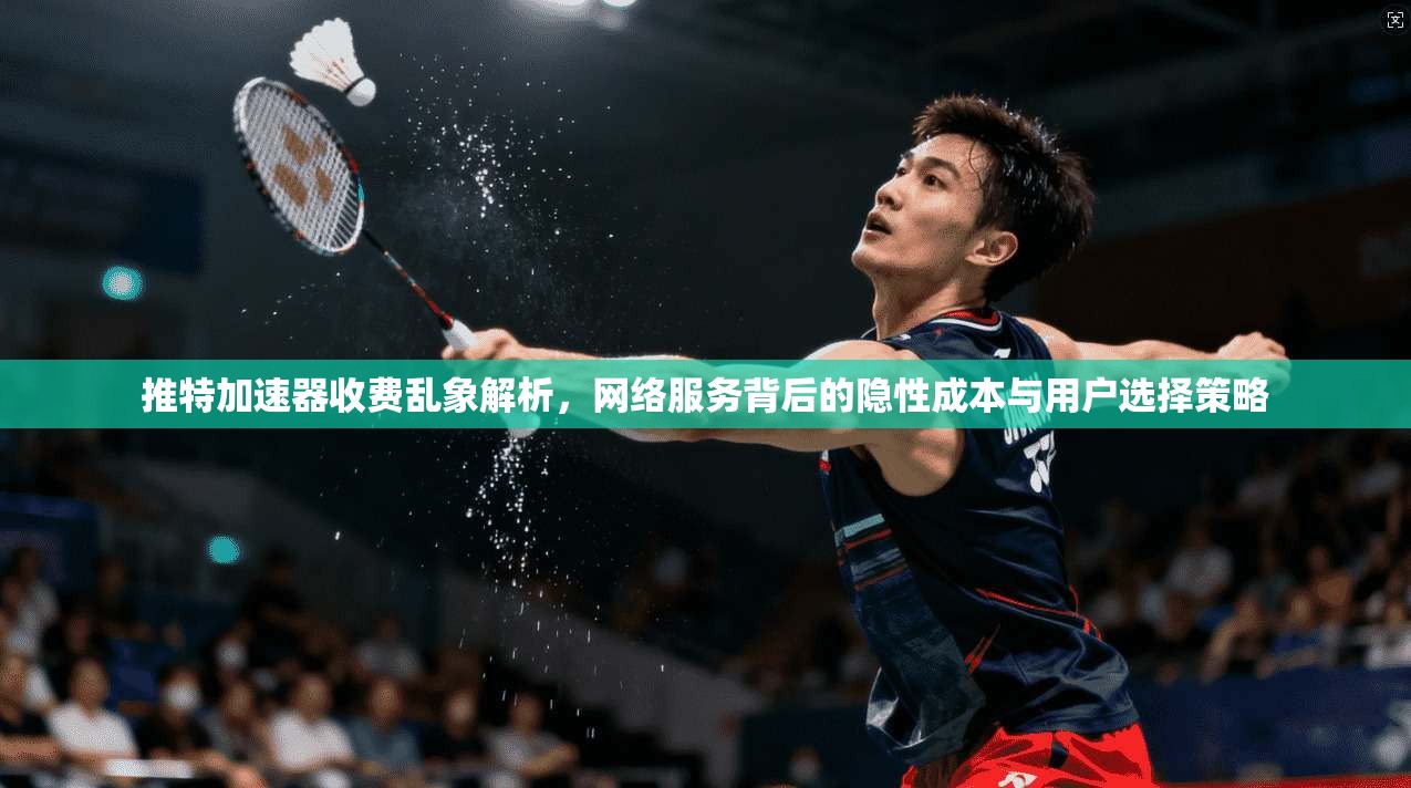 推特加速器收费乱象解析，网络服务背后的隐性成本与用户选择策略