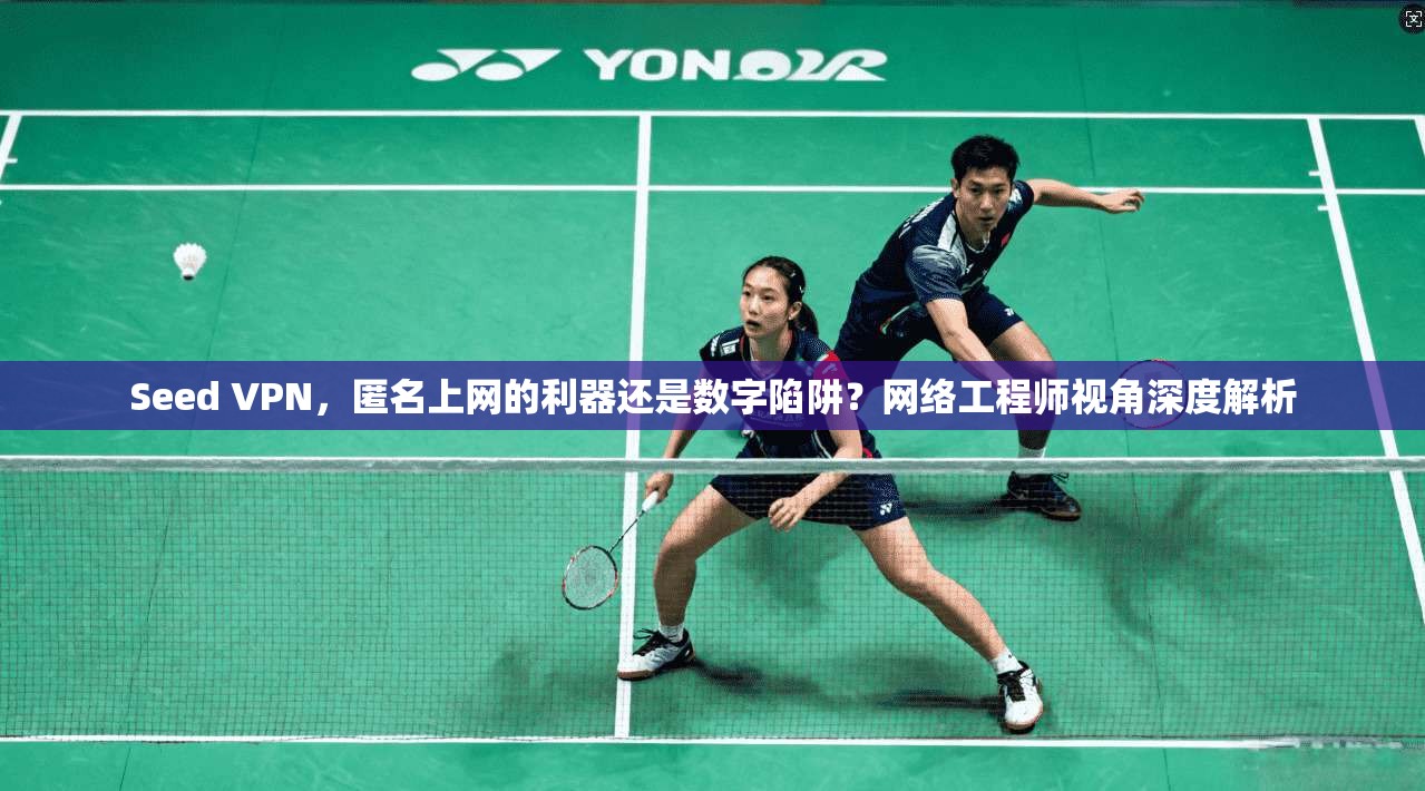 Seed VPN，匿名上网的利器还是数字陷阱？网络工程师视角深度解析