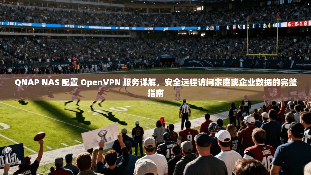 QNAP NAS 配置 OpenVPN 服务详解，安全远程访问家庭或企业数据的完整指南