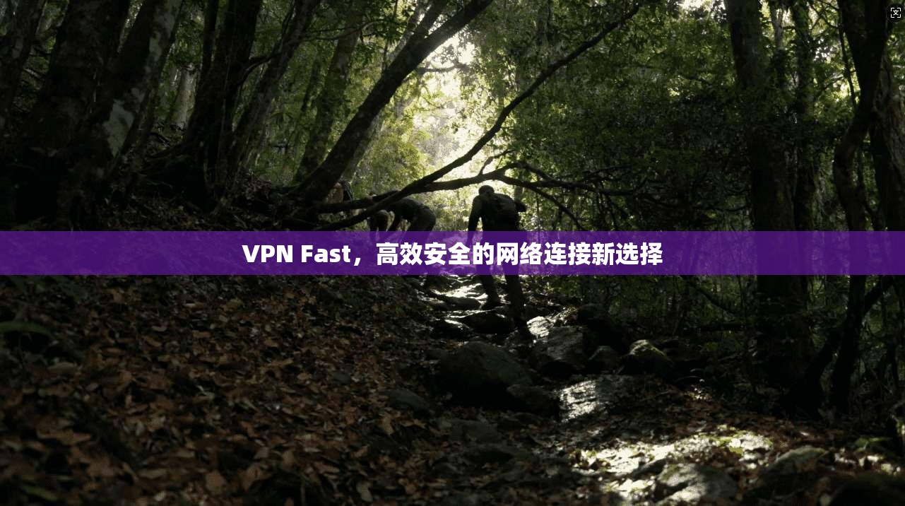 VPN Fast，高效安全的网络连接新选择