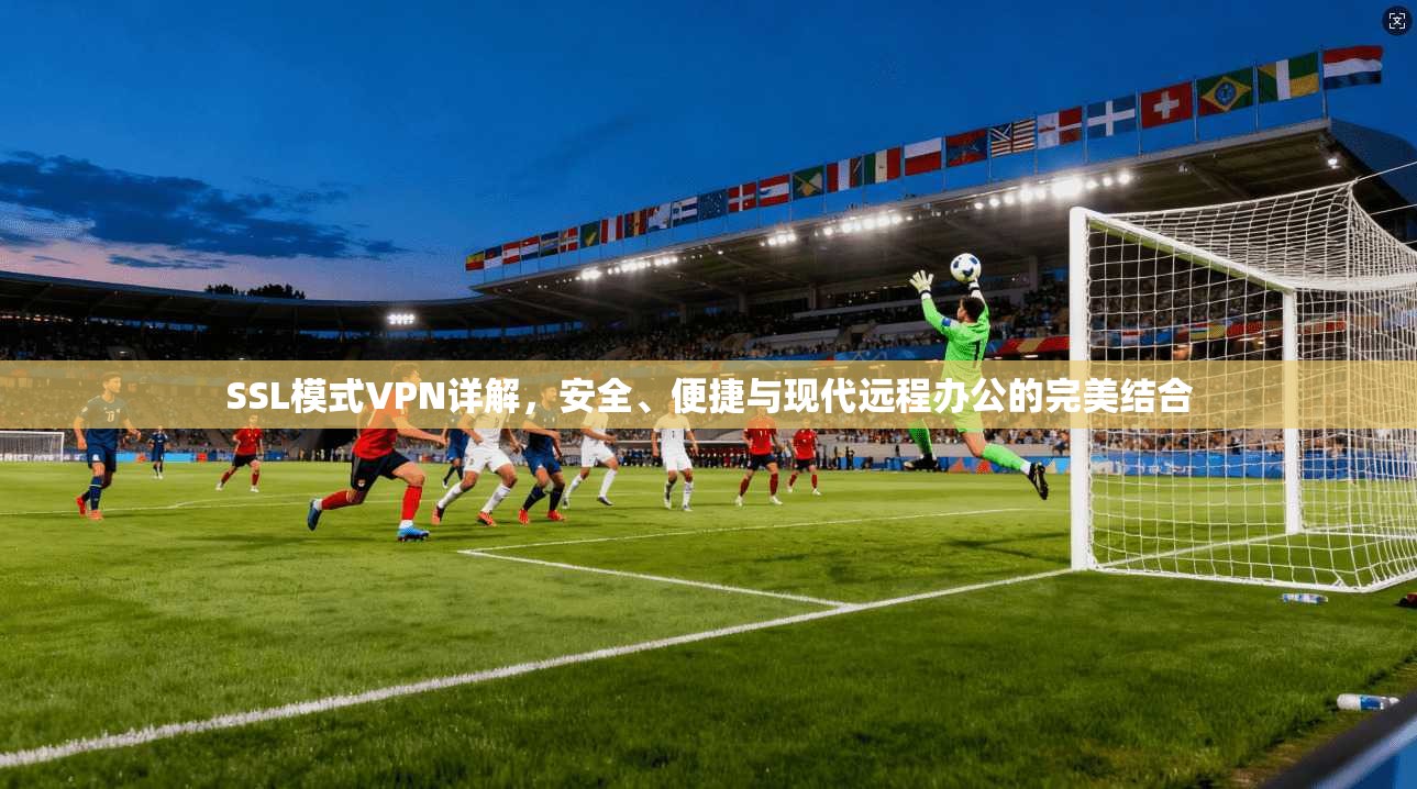 SSL模式VPN详解,安全、便捷与现代远程办公的完美结合 SSL模式VPN详解,安全、便捷与现代远程办公的完美结合