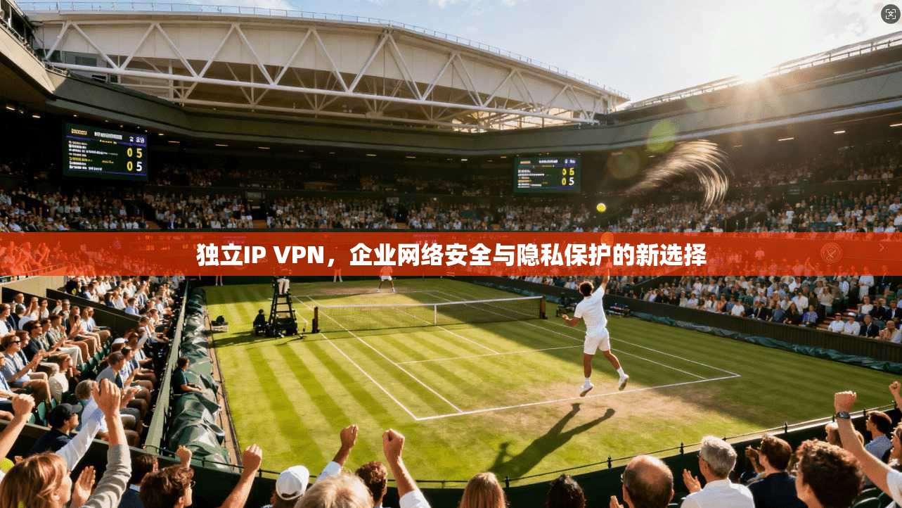 独立IP VPN，企业网络安全与隐私保护的新选择