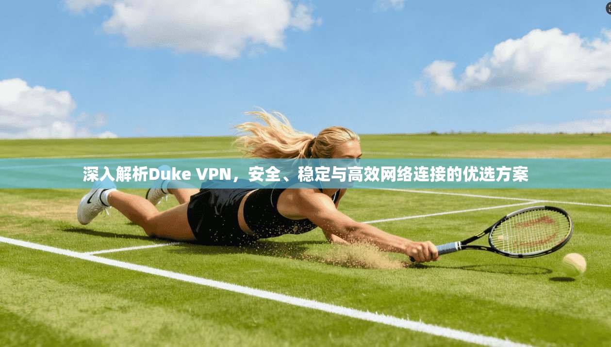 深入解析Duke VPN，安全、稳定与高效网络连接的优选方案