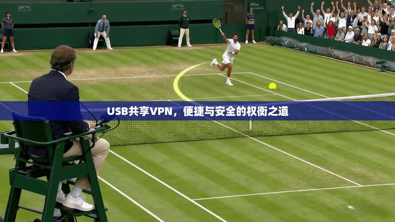 USB共享VPN，便捷与安全的权衡之道