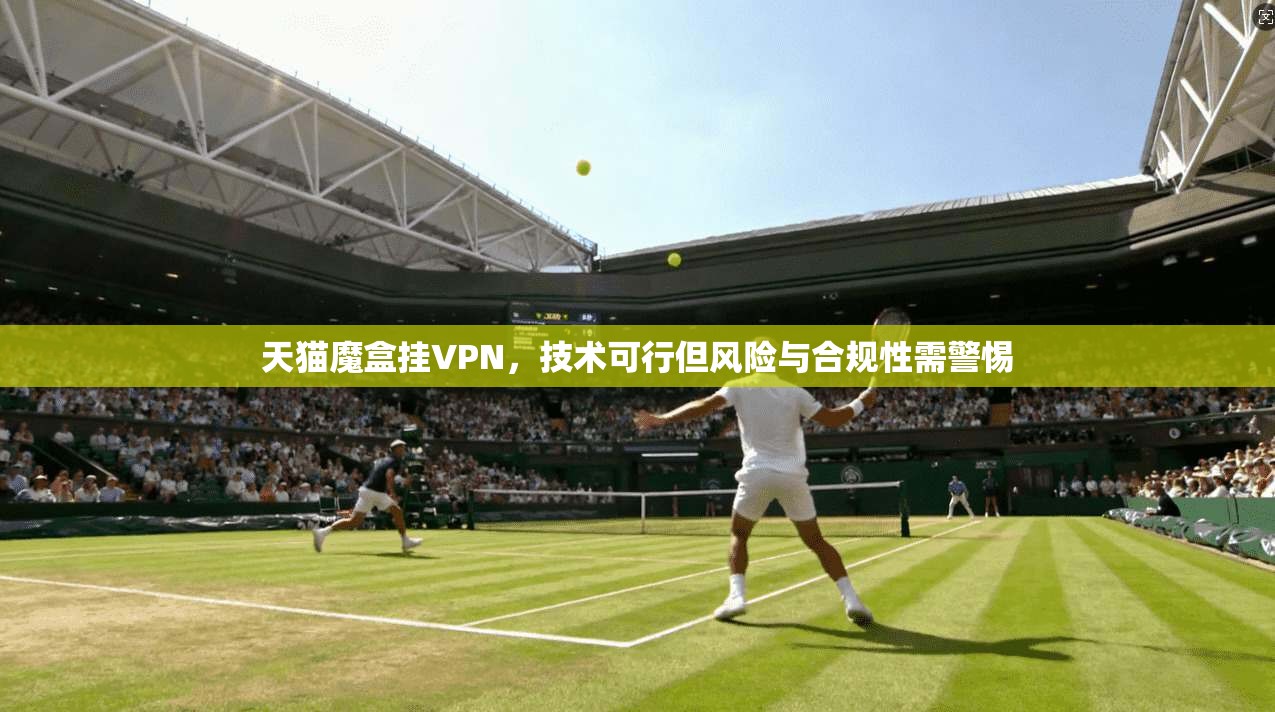 天猫魔盒挂VPN，技术可行但风险与合规性需警惕