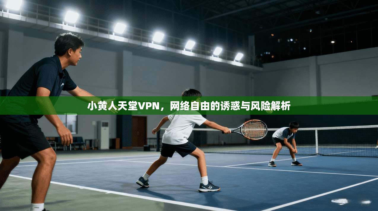 小黄人天堂VPN，网络自由的诱惑与风险解析