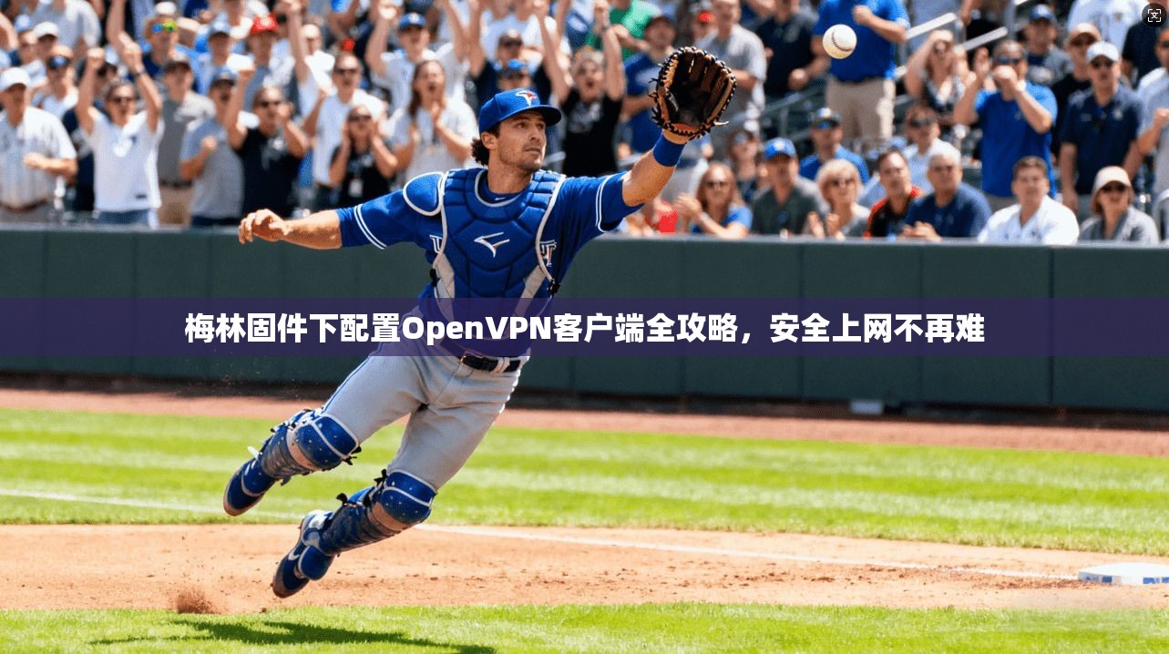 梅林固件下配置OpenVPN客户端全攻略，安全上网不再难