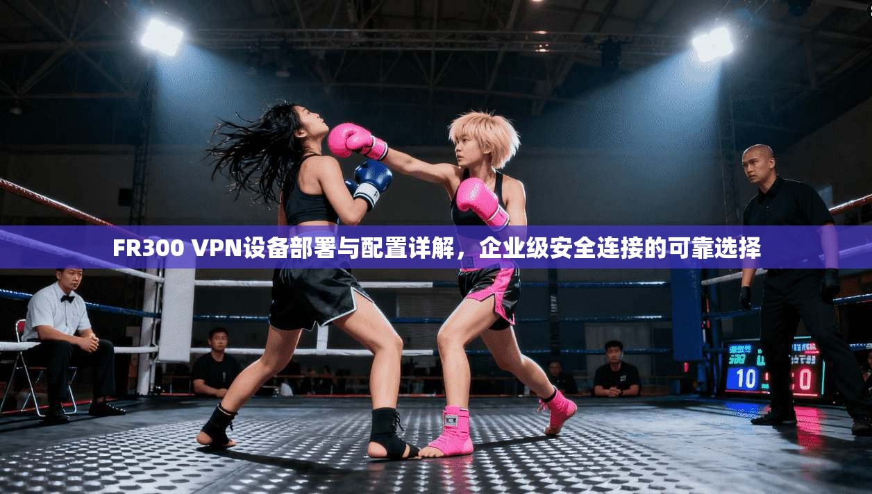 FR300 VPN设备部署与配置详解，企业级安全连接的可靠选择
