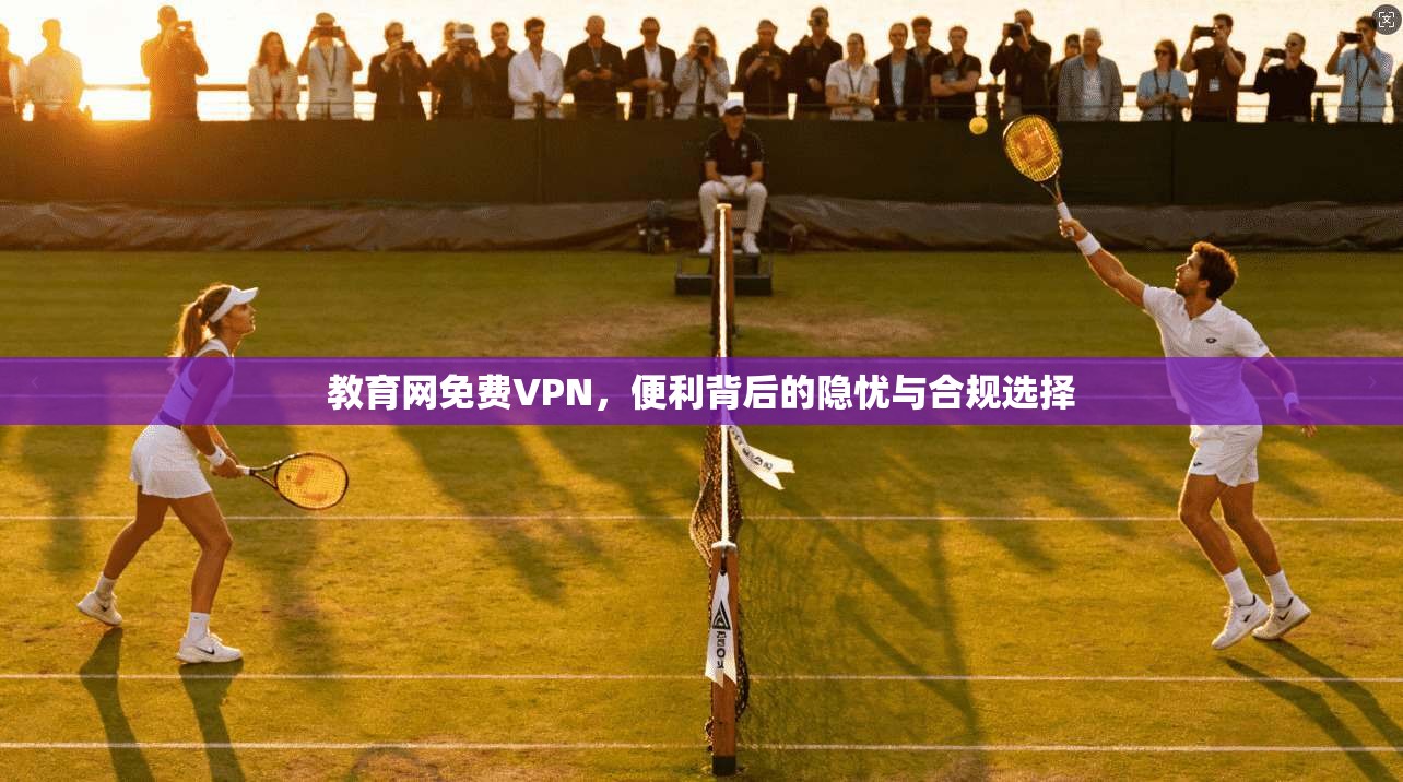 教育网免费VPN，便利背后的隐忧与合规选择