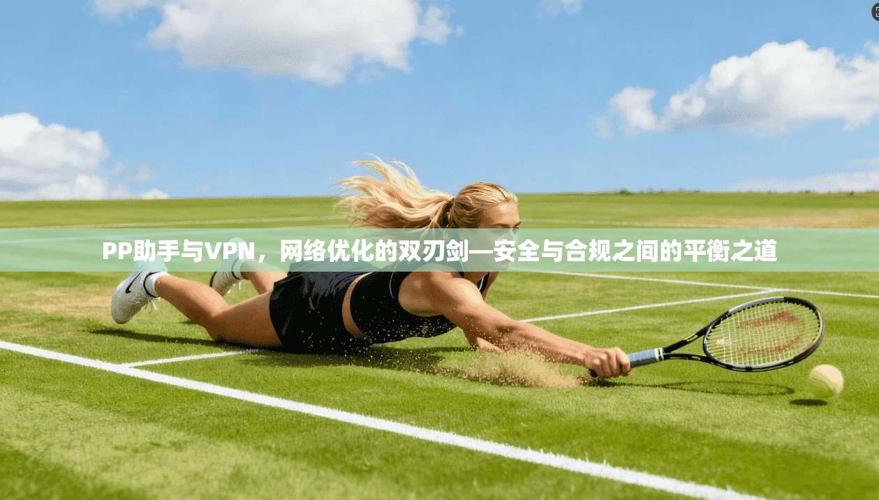 PP助手与VPN，网络优化的双刃剑—安全与合规之间的平衡之道