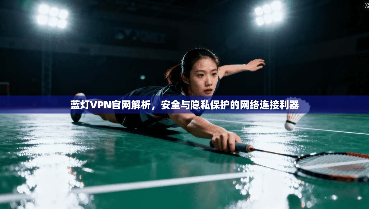 蓝灯VPN官网解析，安全与隐私保护的网络连接利器