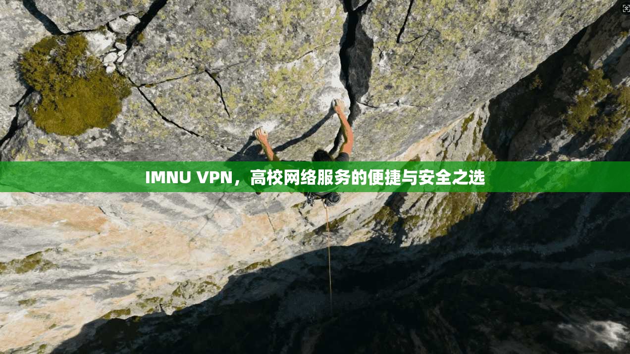 IMNU VPN，高校网络服务的便捷与安全之选