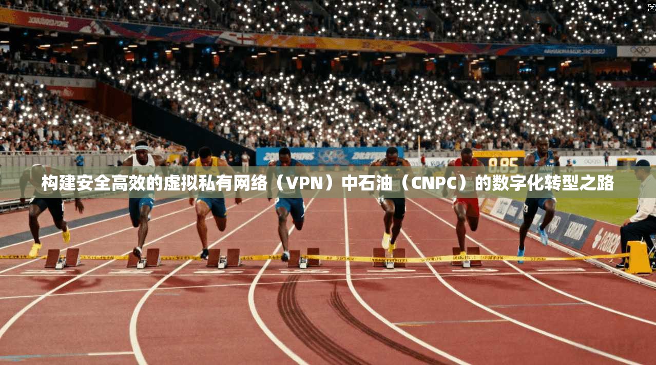 构建安全高效的虚拟私有网络（VPN）中石油（CNPC）的数字化转型之路