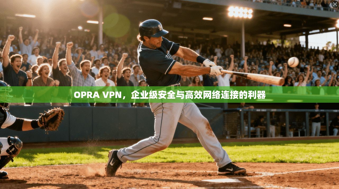 OPRA VPN，企业级安全与高效网络连接的利器