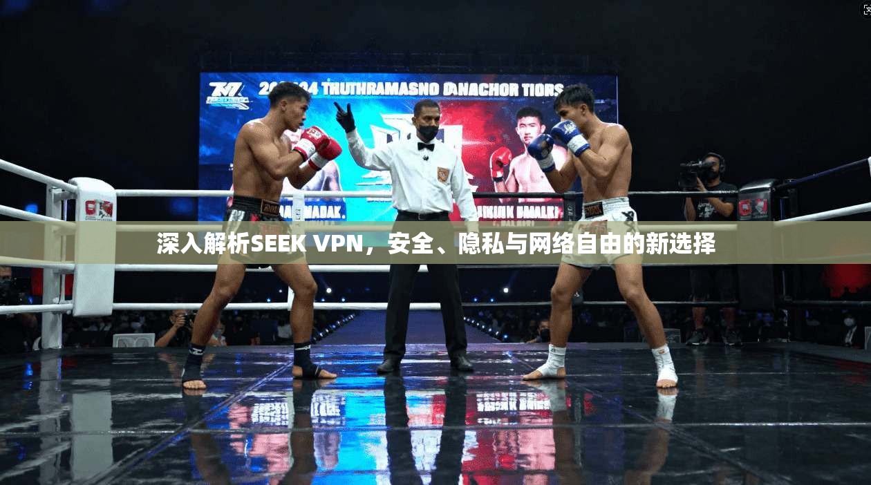 深入解析SEEK VPN，安全、隐私与网络自由的新选择