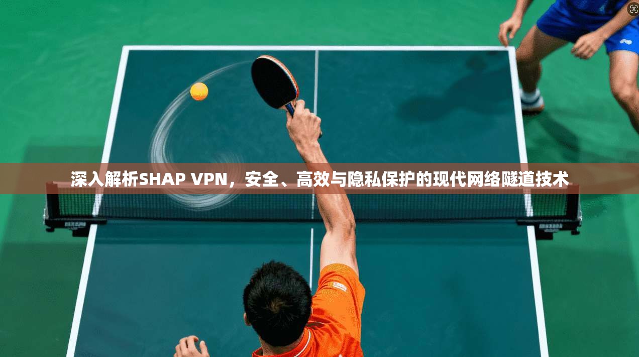 深入解析SHAP VPN，安全、高效与隐私保护的现代网络隧道技术